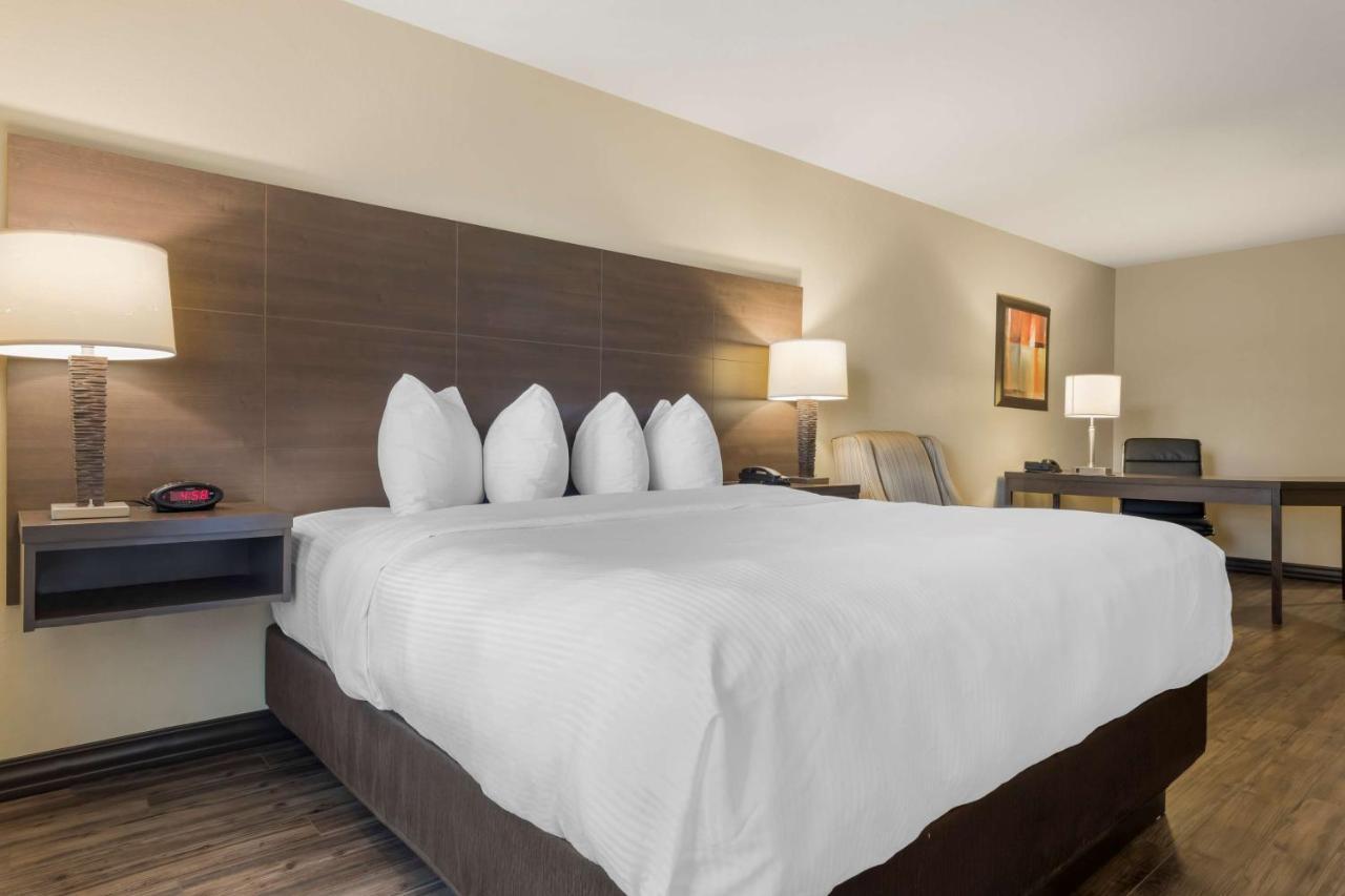 Best Western Plus Saint John Hotel & Suites Екстериор снимка
